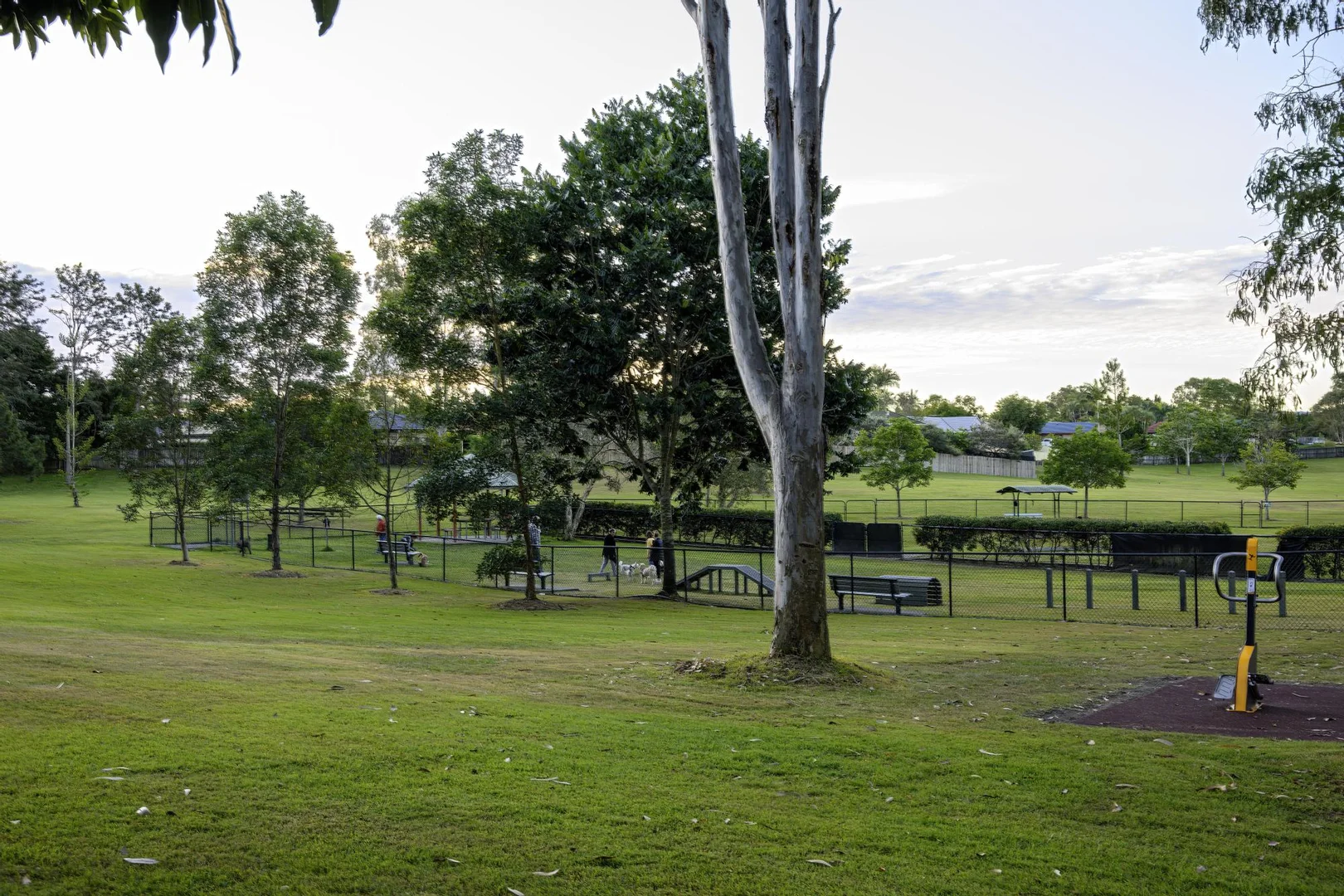 Additional image 19 of 97 Dewar Drive, Loganholme QLD 4129