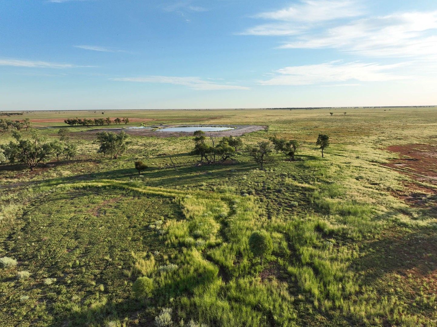 'Mundiwa' & 'Twin Rivers' 8600 West Culgoa Road, Brewarrina NSW 2839, Image 0