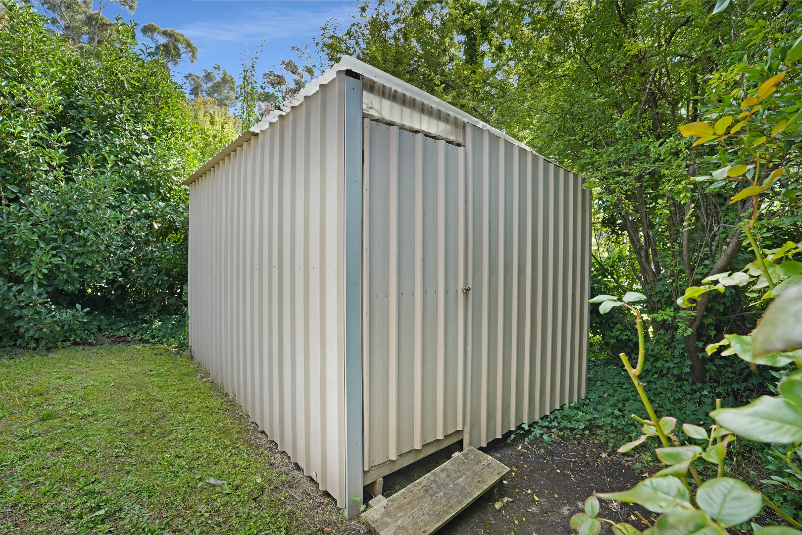 Image 10