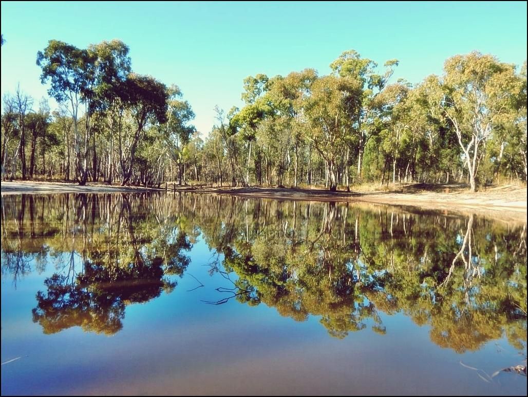 309 Waratah Drive, Millmerran Downs QLD 4357 Vacant Land for Sale