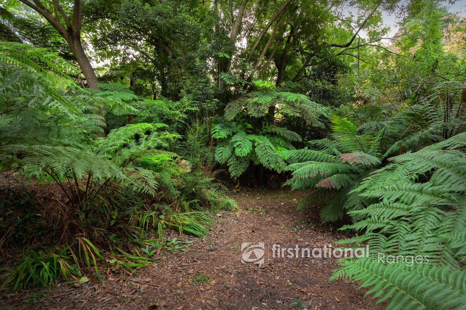 4 Suffolk Avenue, Cockatoo VIC 3781, Image 1