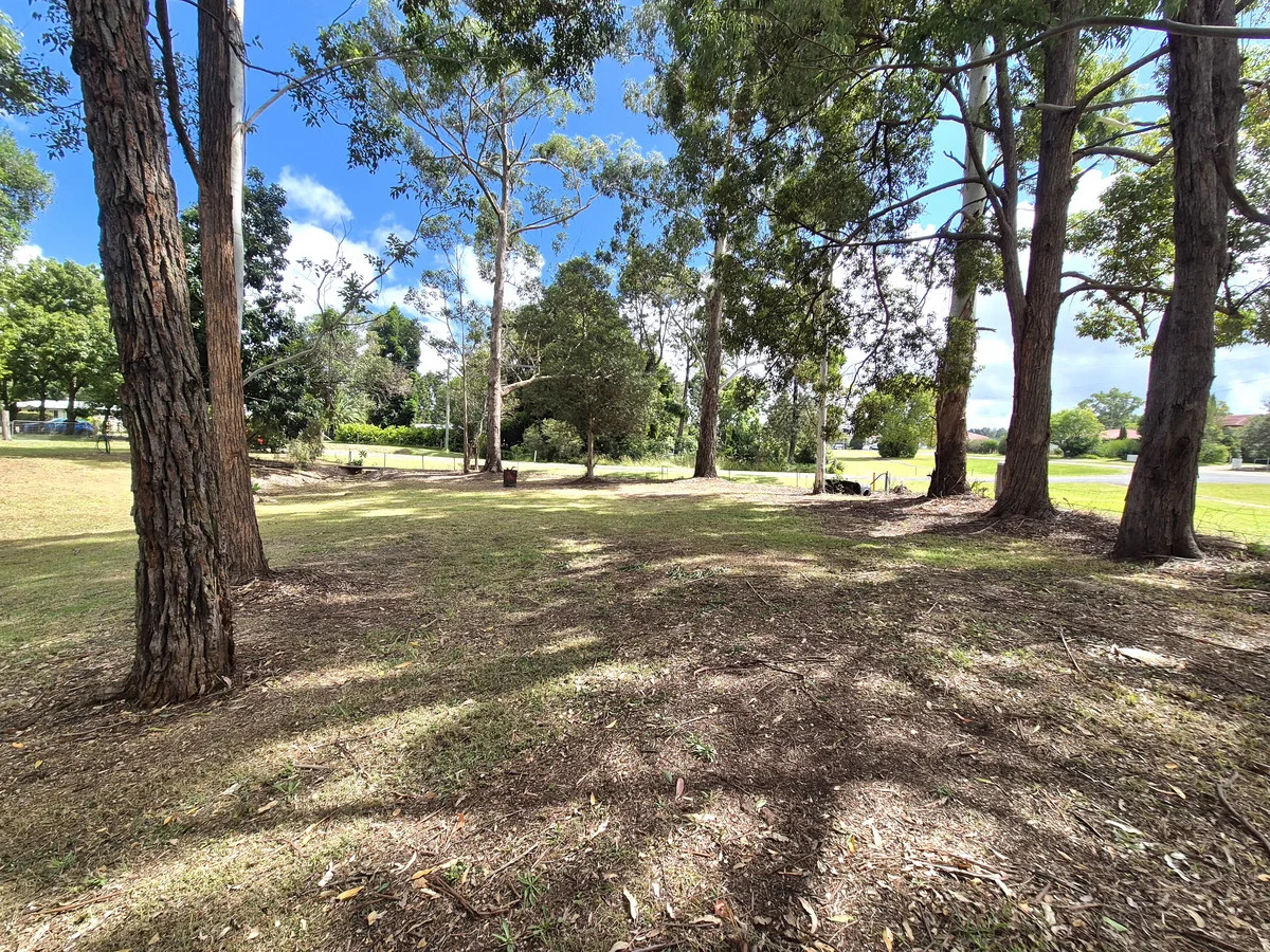Image 10