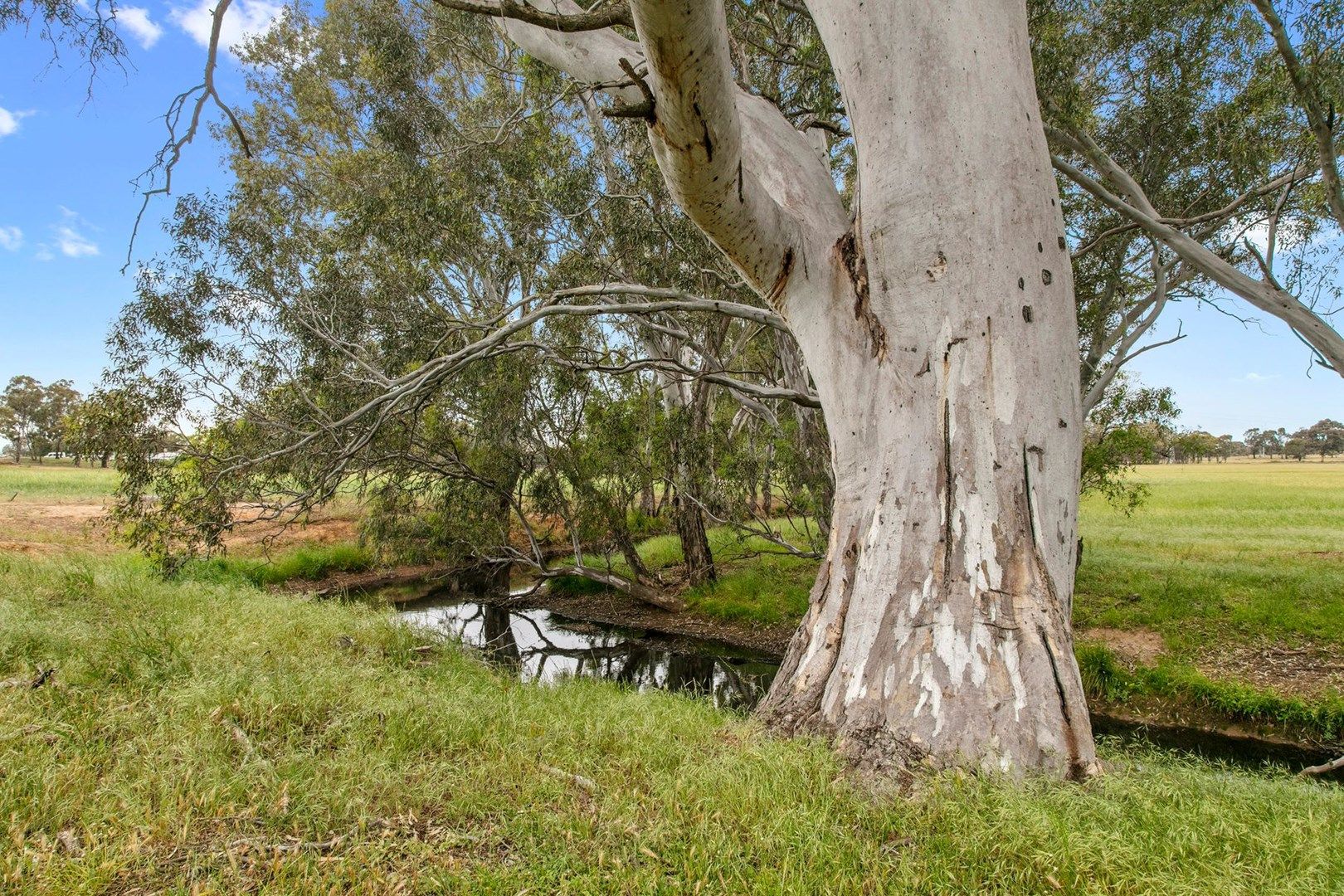 Lot 27 Maggs Lane, Longlea VIC 3551, Image 0