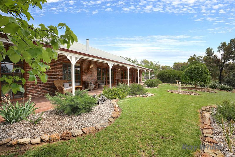 14 South Terrace, Leasingham SA 5452, Image 0