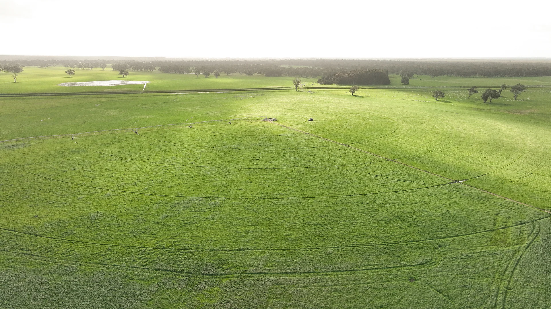 Additional image 11 of 546 Bool Lagoon West Road, Penola SA 5277