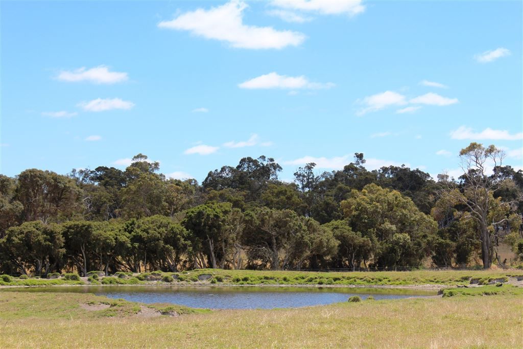 Albany WA 6330, Image 1