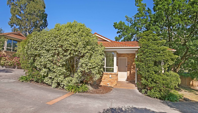 Picture of 7/226 Nepean Street, GREENSBOROUGH VIC 3088