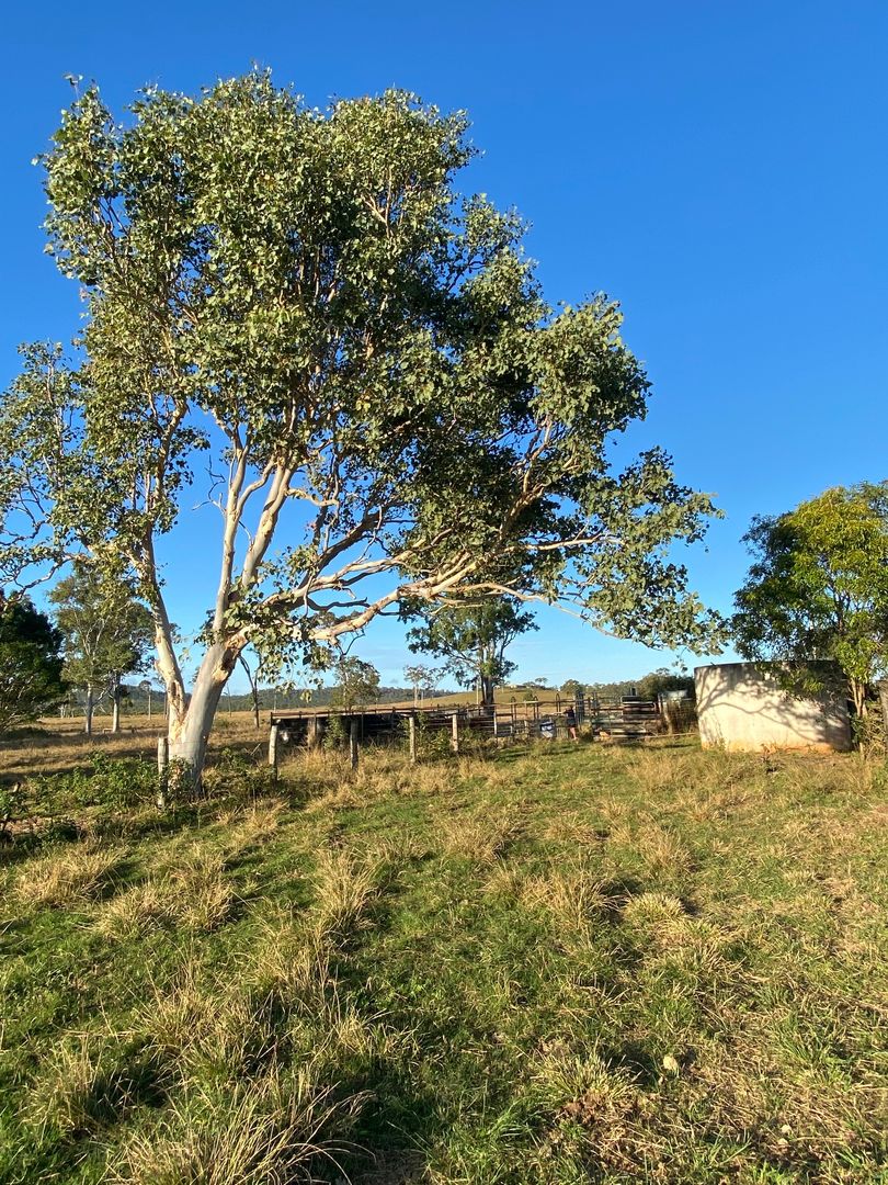 Lot 2/39 Williams Road, Bungundarra QLD 4703 House for Sale