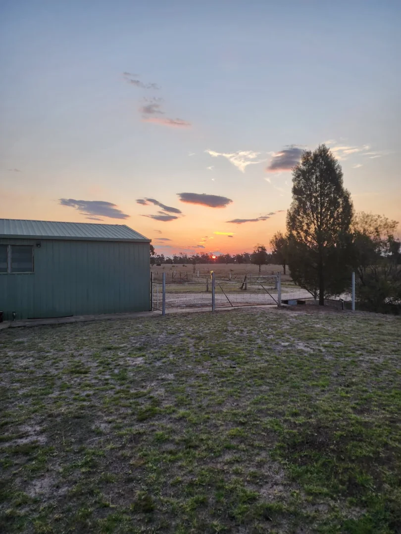 Image 14