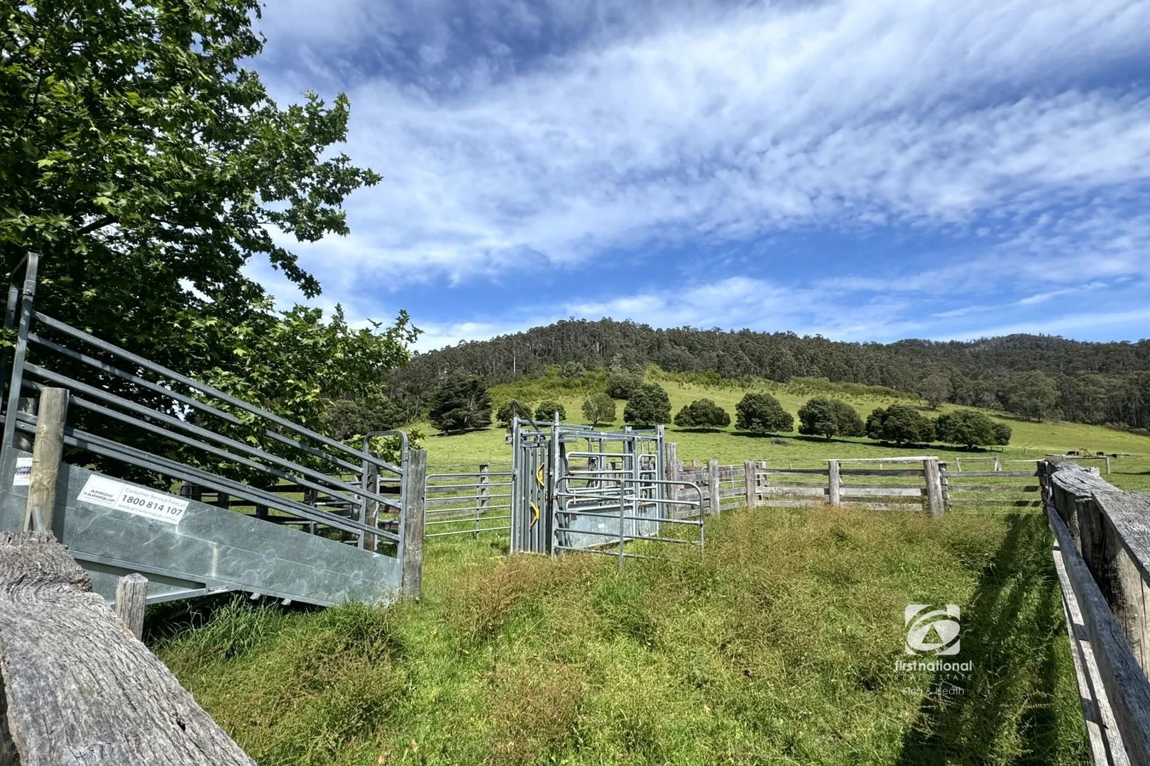 Image 14