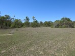 Image 13