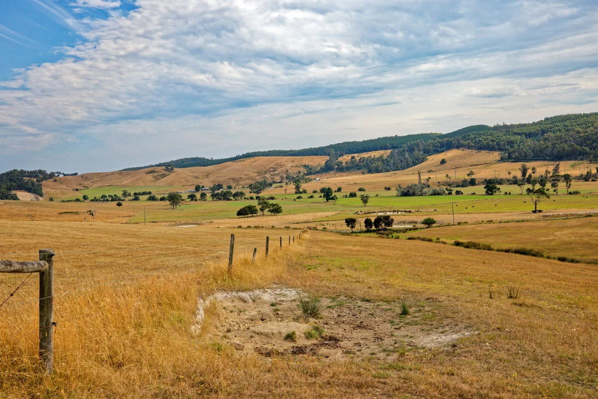 Image 14