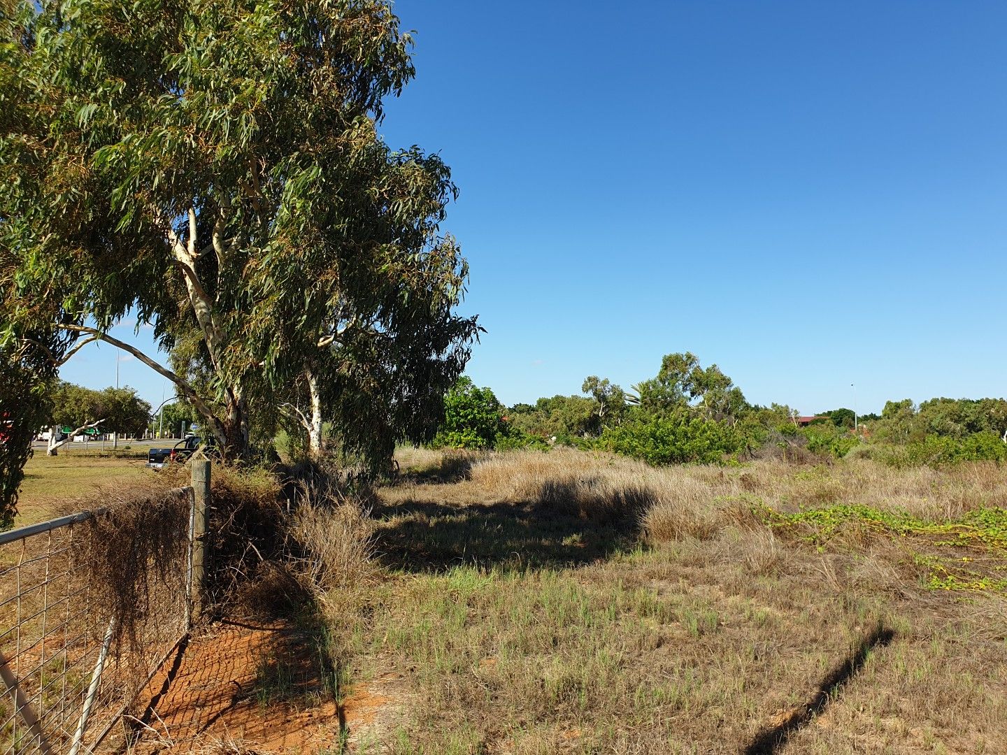 590 Robinson Street, Carnarvon WA 6701 House for Sale Domain