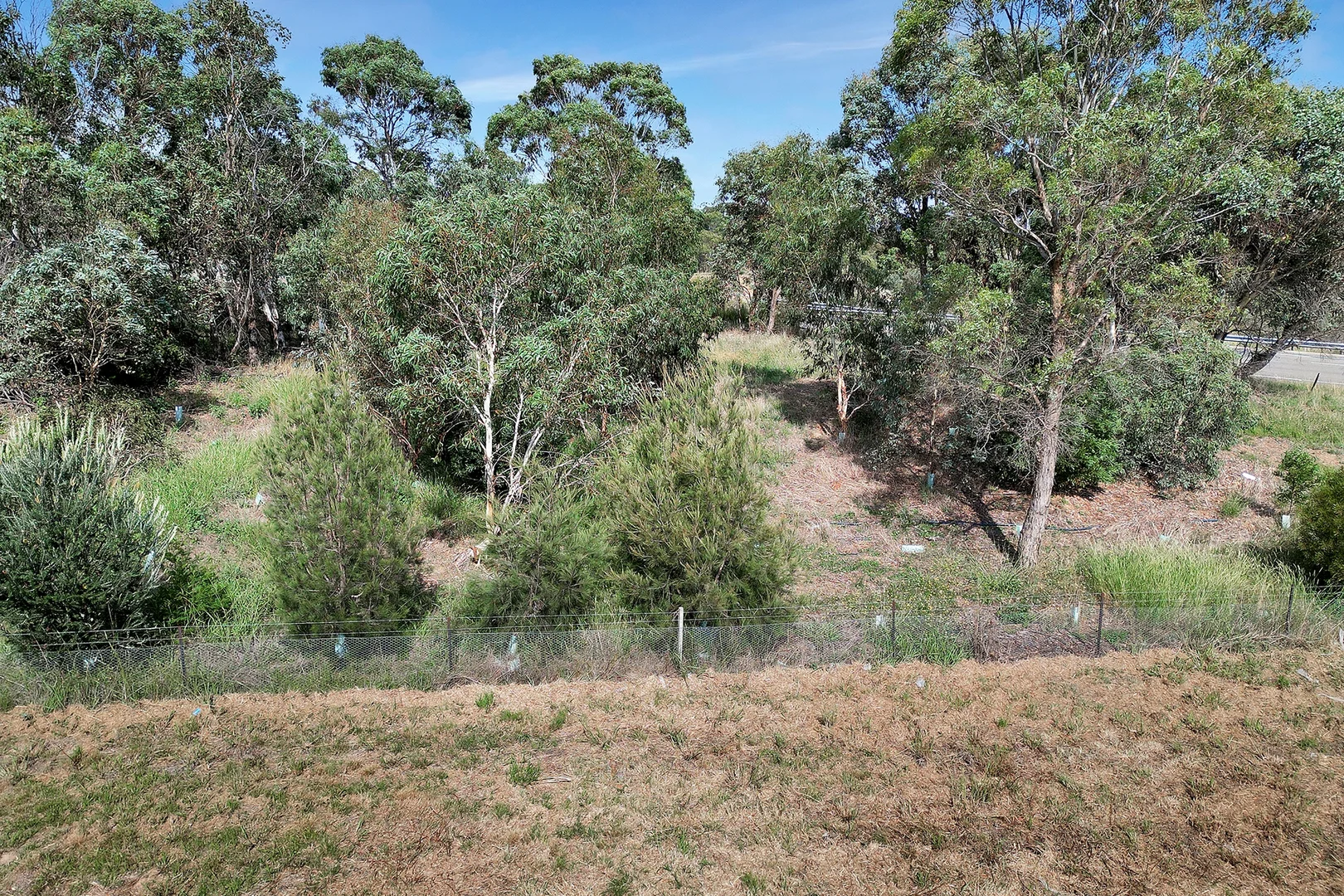 Image 14