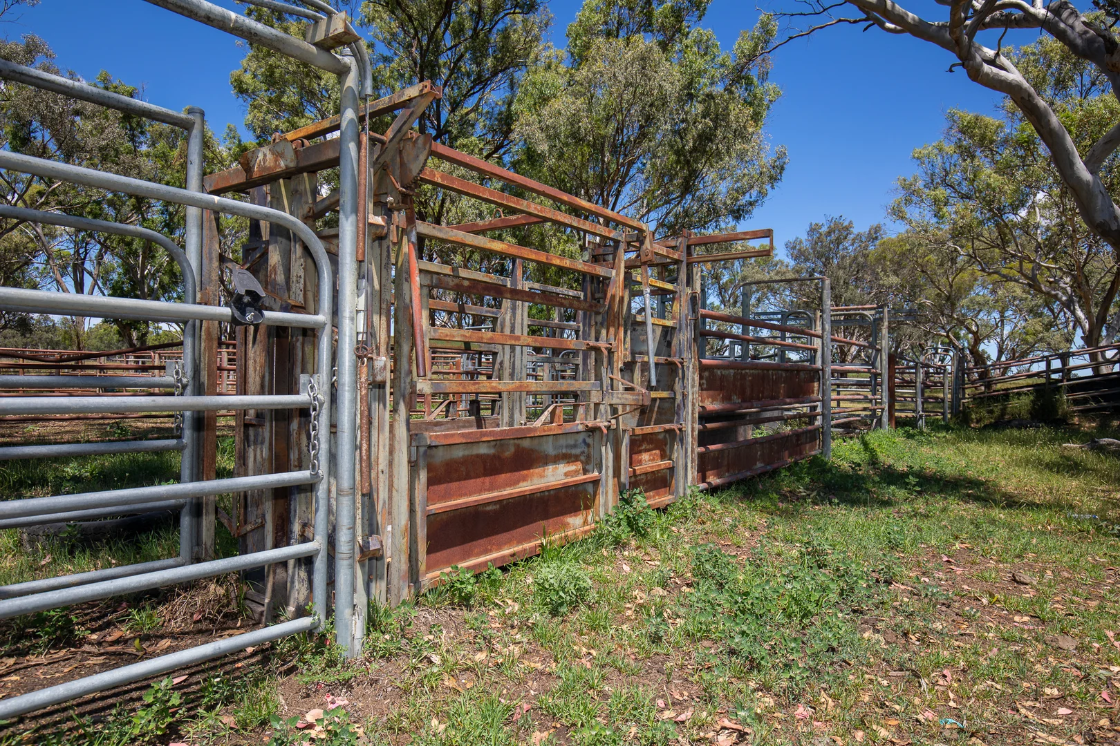 Additional image 16 of Inverell NSW 2360