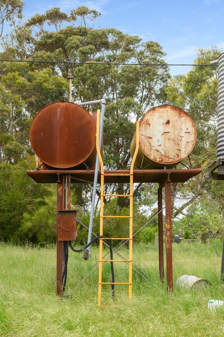 Image 38