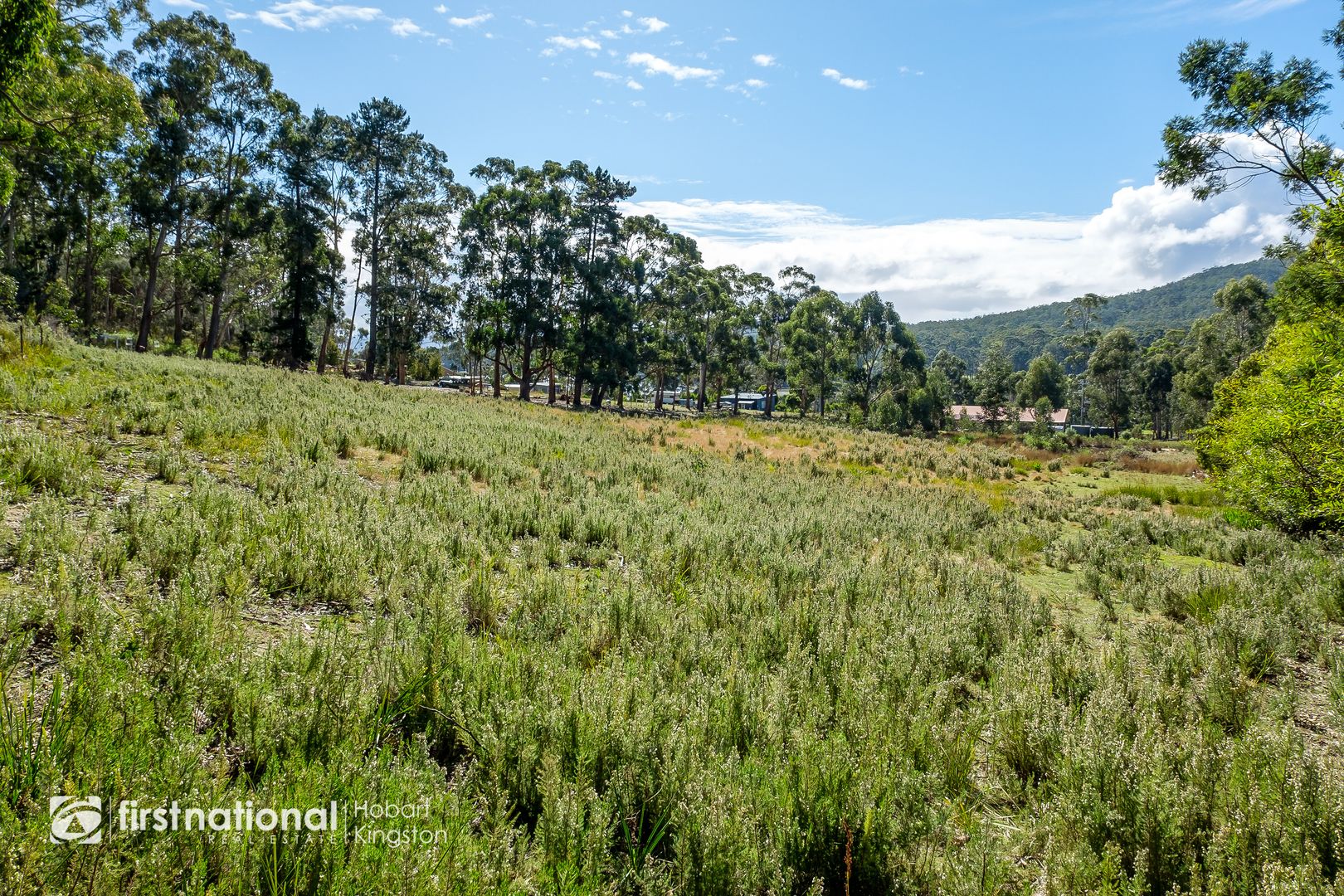 Lot 3, 10 Cloudy Bay Road, Lunawanna TAS 7150, Image 1