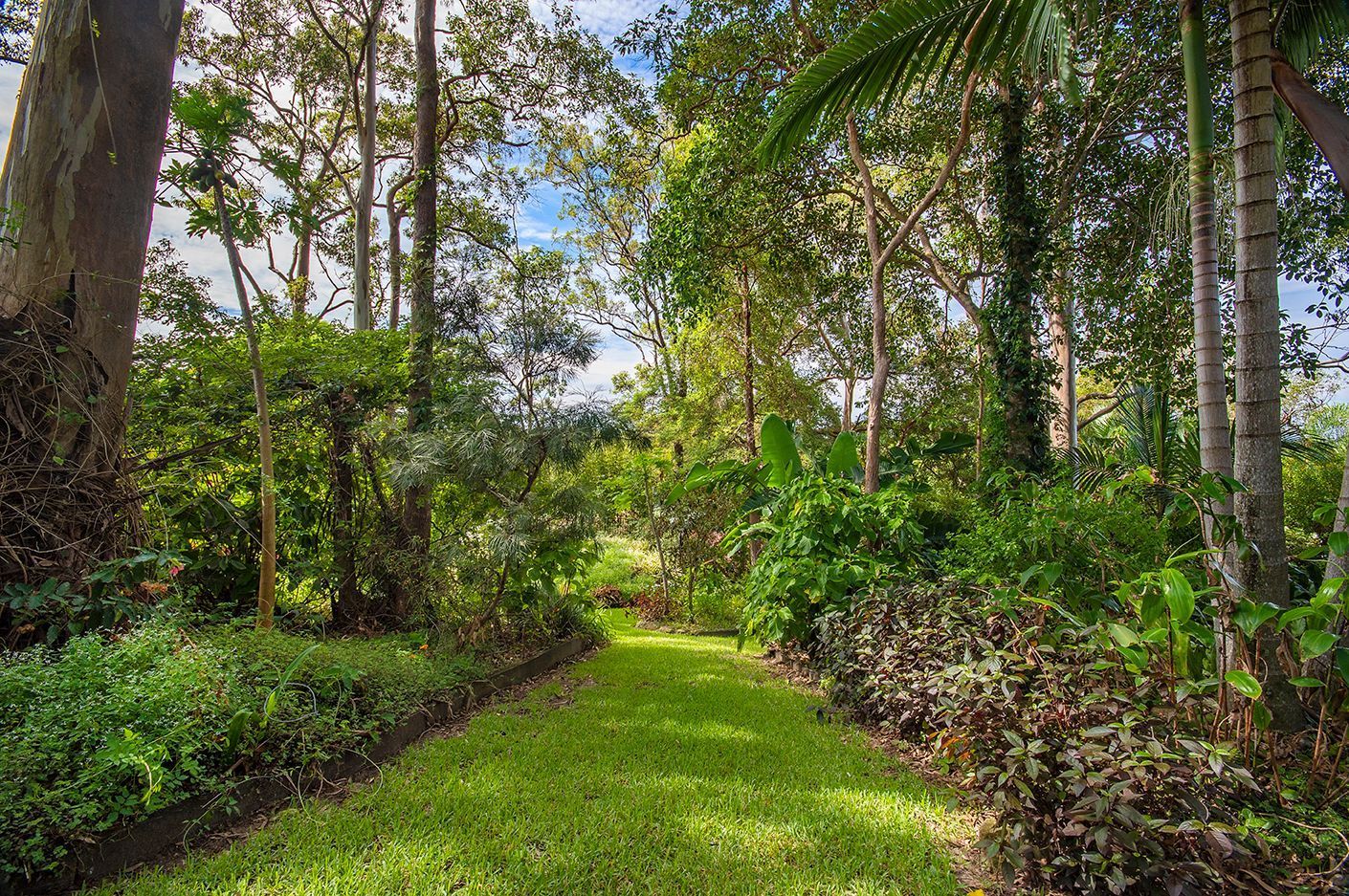 51 Golf Links Road, Buderim QLD 4556, Image 0