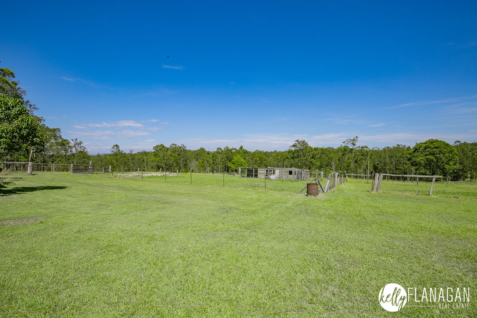 1317 Collombatti Road, Collombatti NSW 2440, Image 2