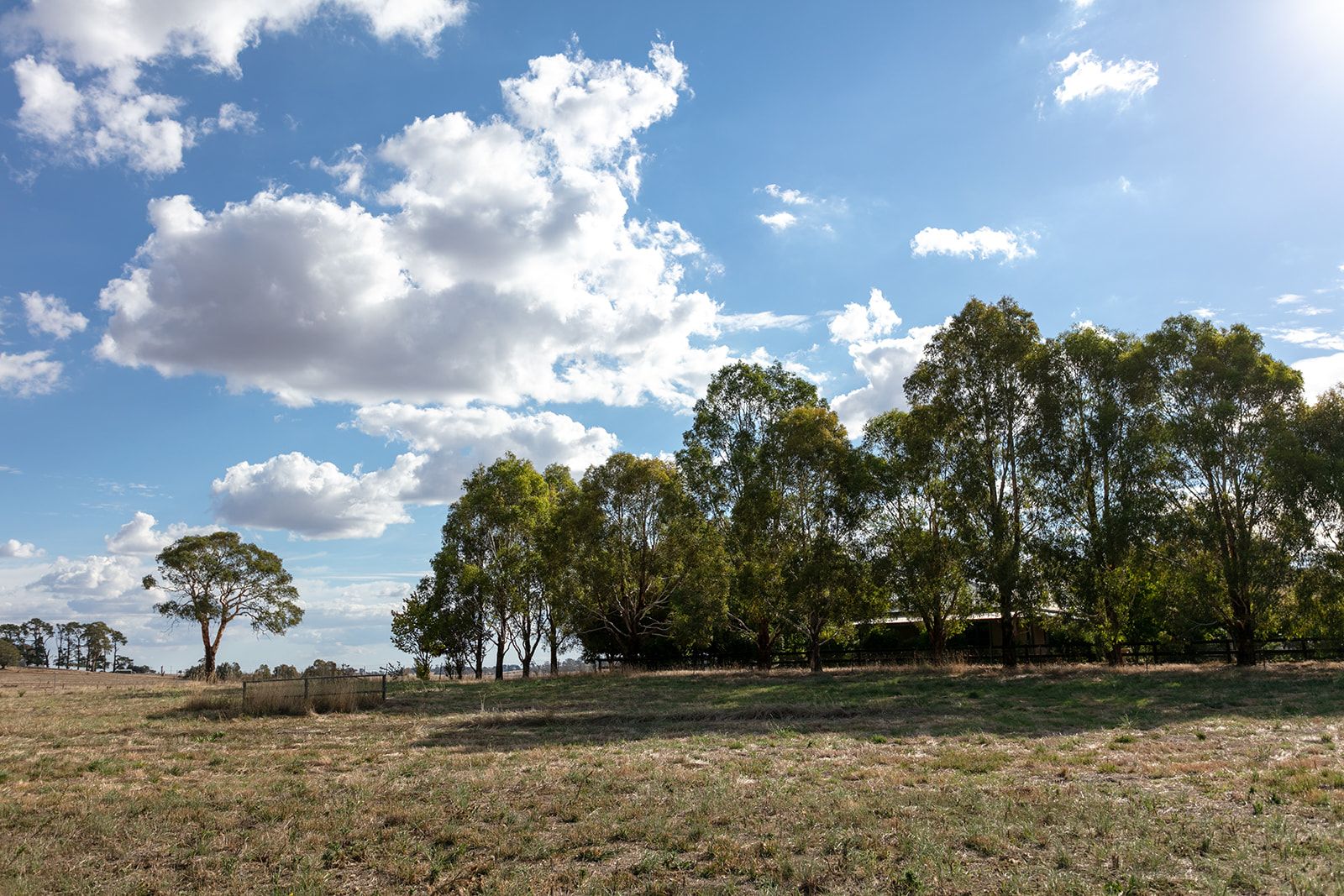 Lot 5 - 65 Eucalyptus Close, Forest Reefs NSW 2798, Image 0