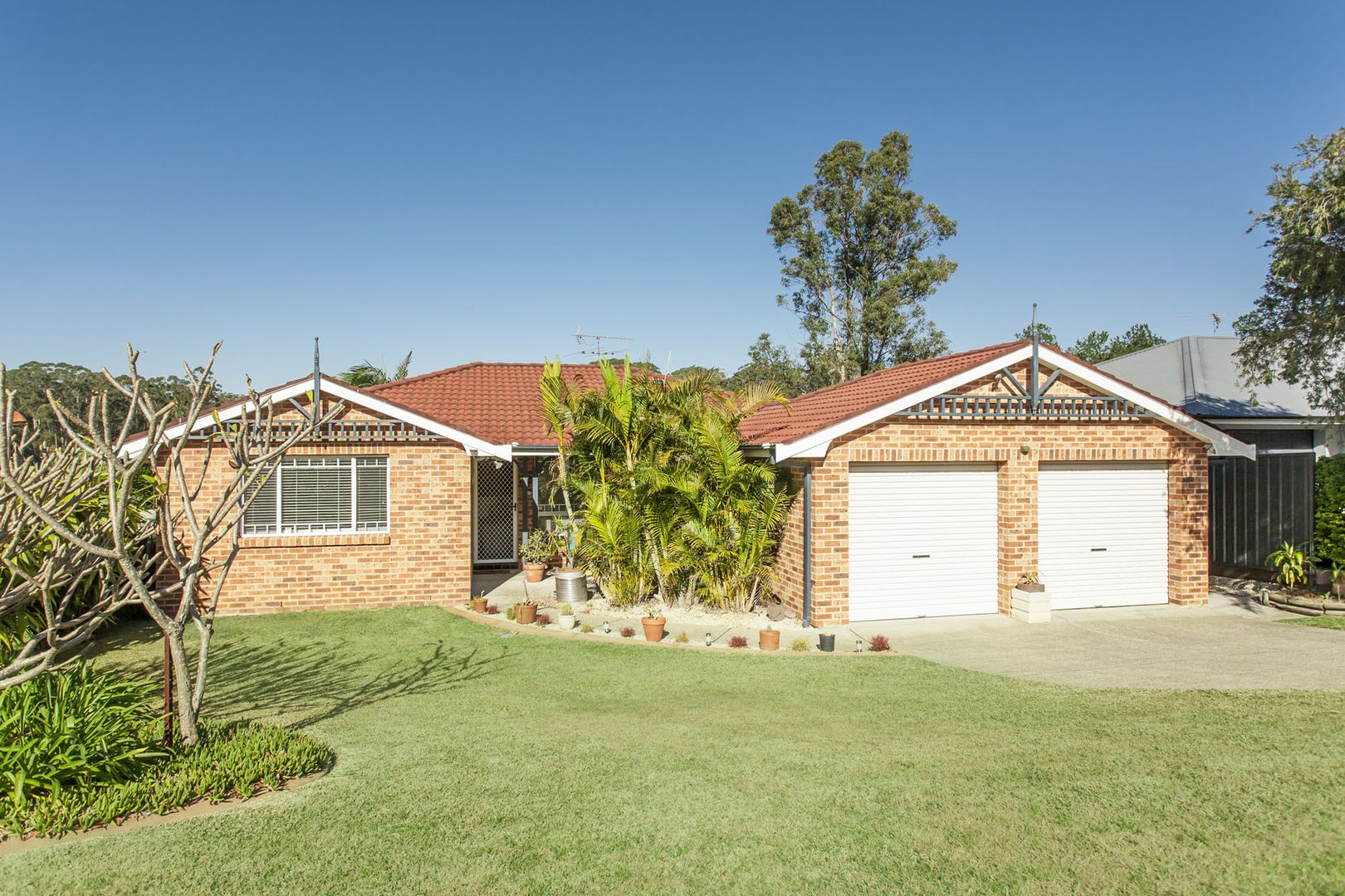 6 Creighton Drive, Medowie Property History & Address Research Domain