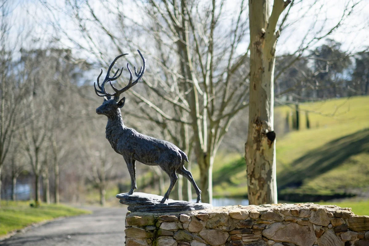 Image 35