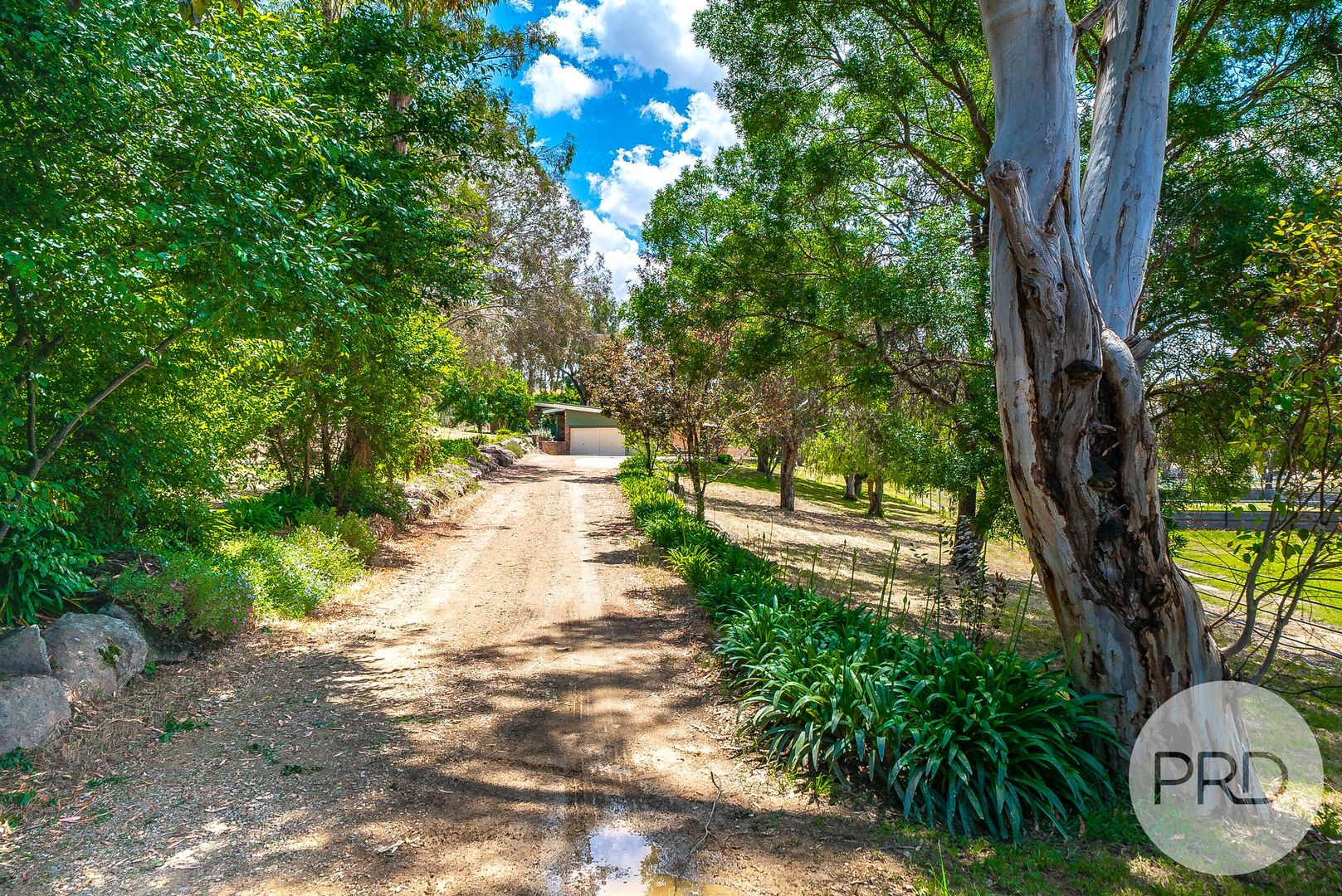 87 Hillary Street, North Wagga Wagga NSW 2650, Image 1