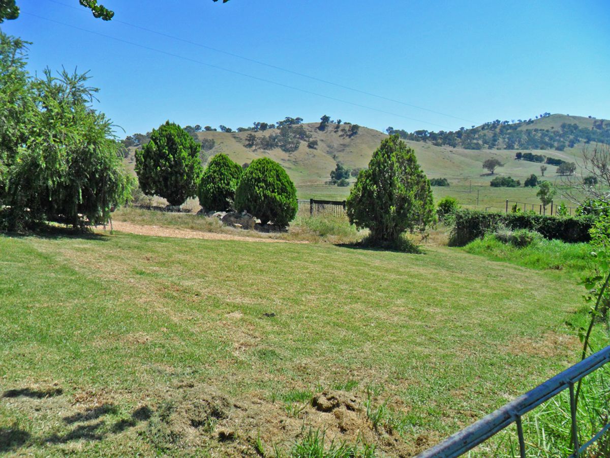 632A Adelong Road, Tumblong NSW 2729, Image 2