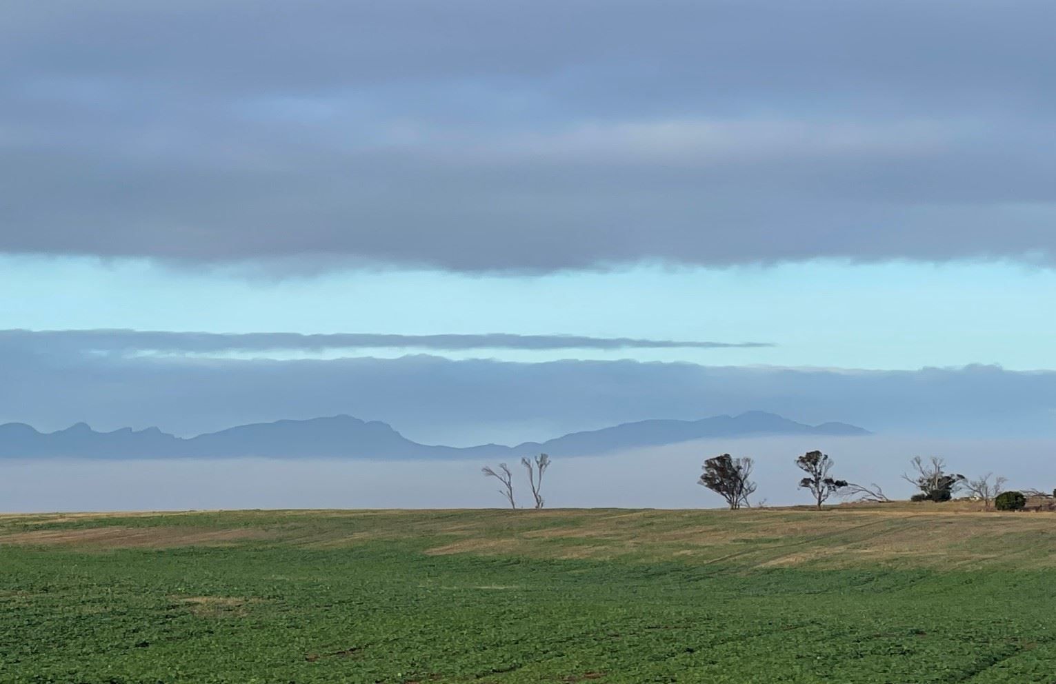 Jerramungup WA 6337 House for Sale Domain