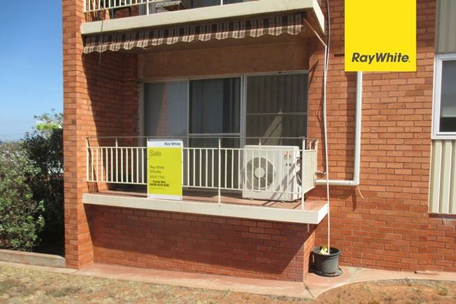 Picture of 2/59 Essington Lewis Avenue, WHYALLA SA 5600
