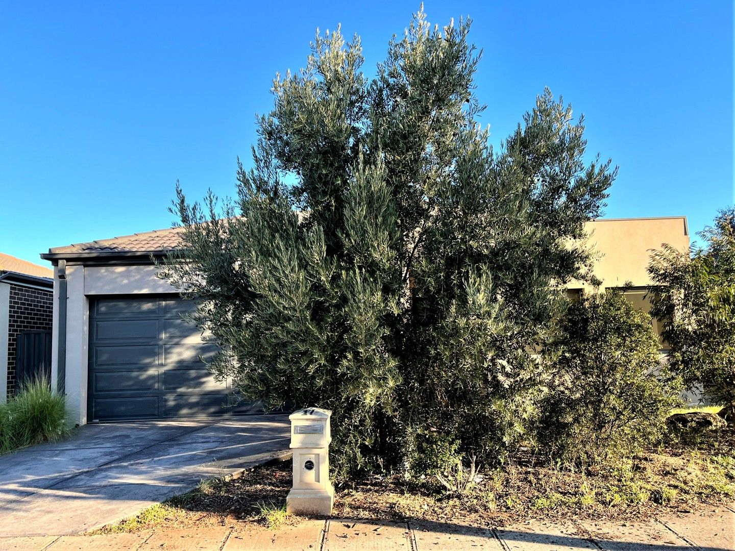 3 bedrooms House in 17 Melville Street TARNEIT VIC, 3029