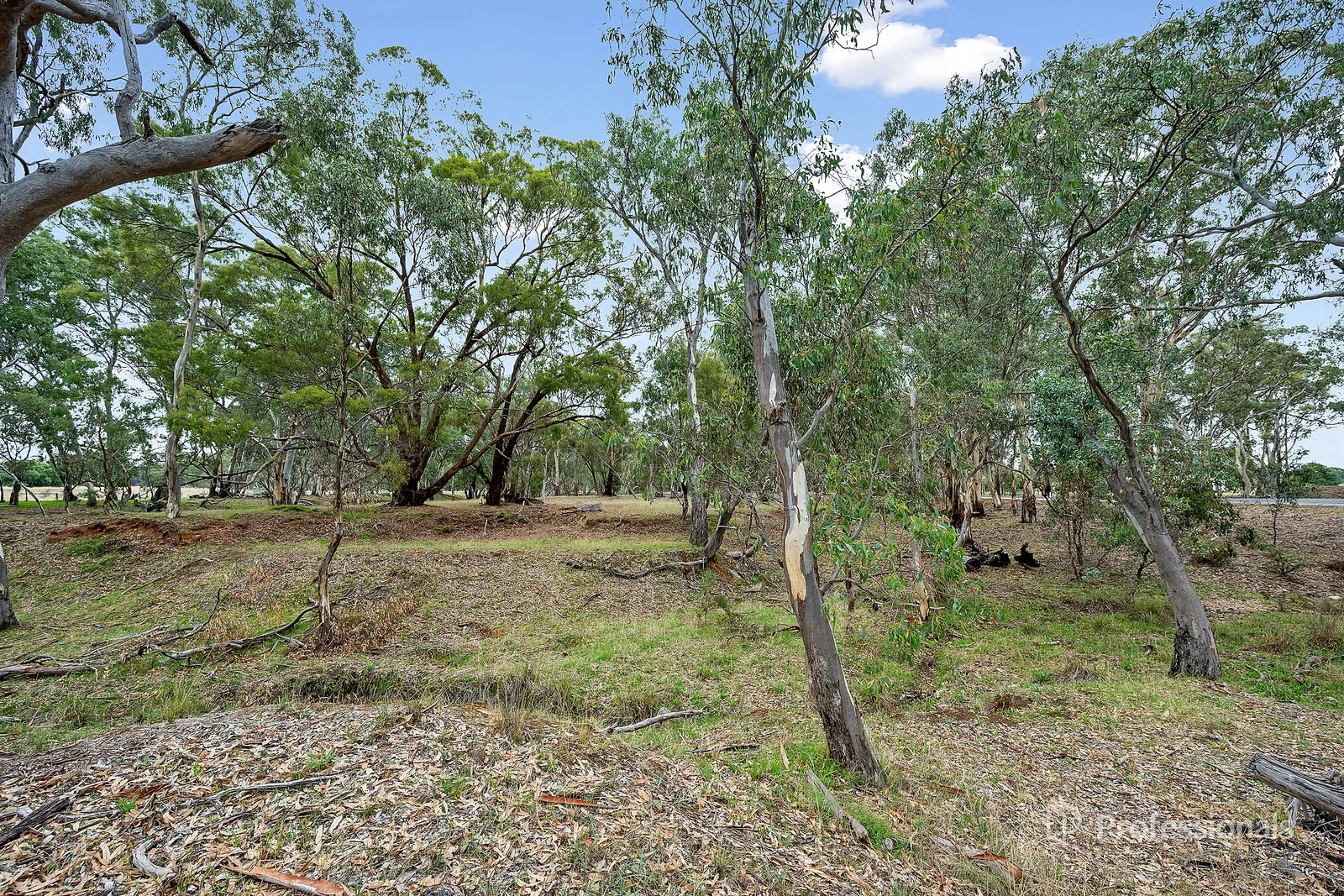 Additional image 5 of 465 Dunolly-Moliagul Road, Dunolly VIC 3472