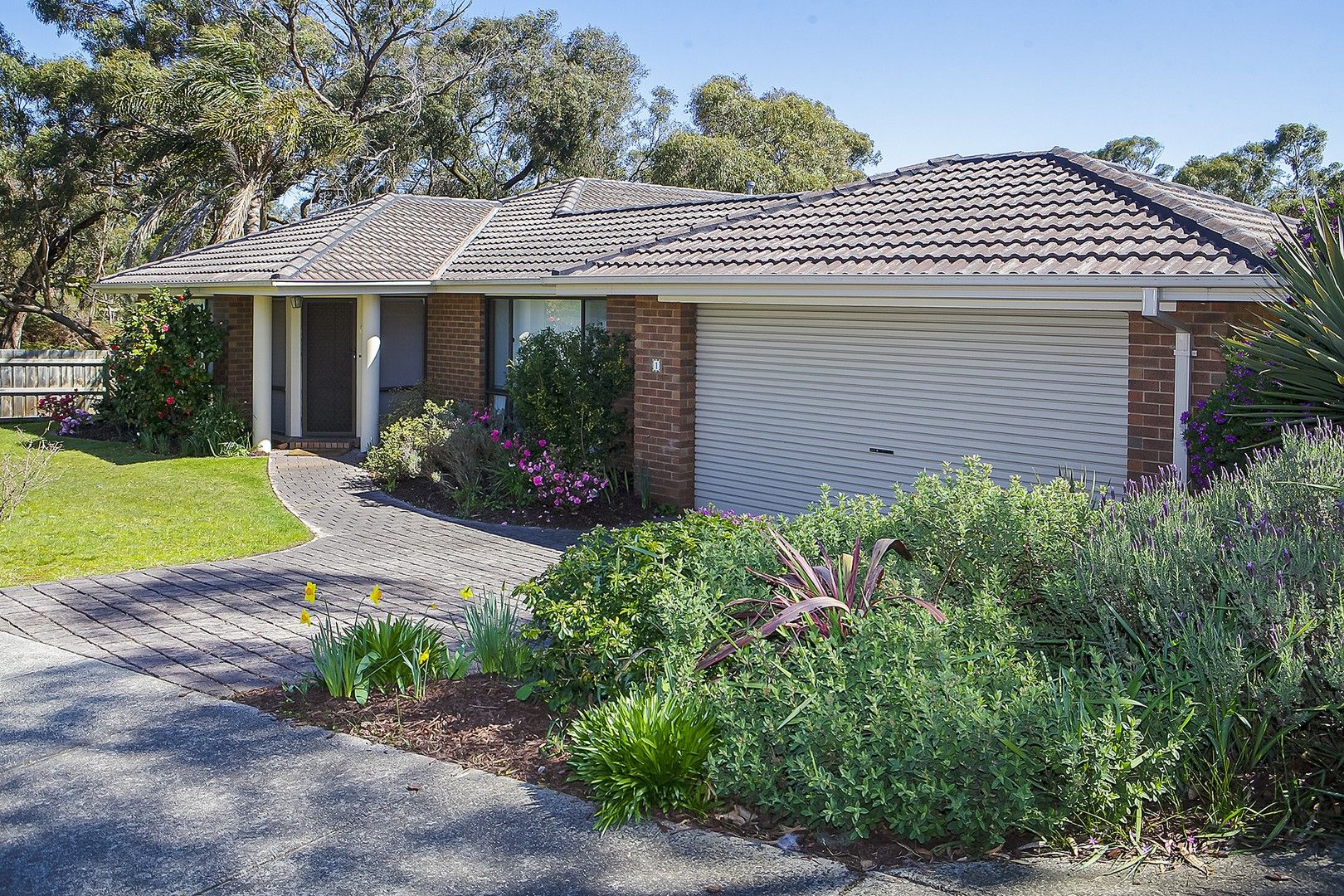 5 bedrooms House in 1 Birgita Court LANGWARRIN VIC, 3910