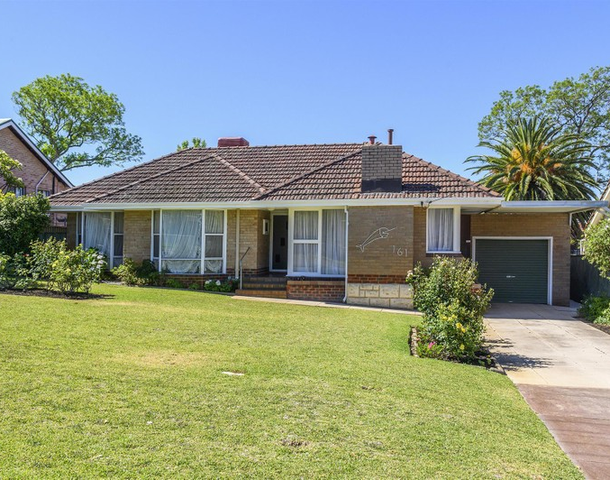 161 Virgil Avenue, Yokine WA 6060