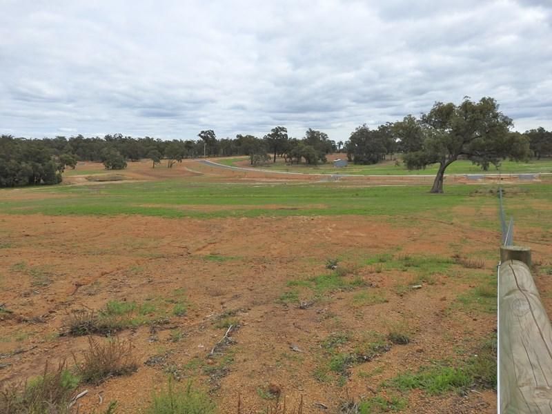 Lot 96 Sunburst Rise, Lower Chittering WA 6084, Image 2