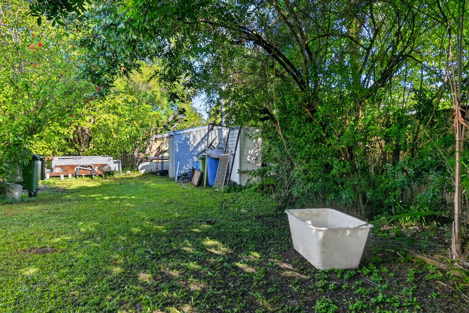 Image 14