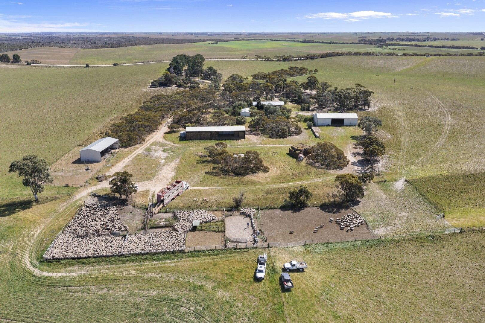 4048 Carcuma Road, Coonalpyn SA 5265 Farm for Sale Domain