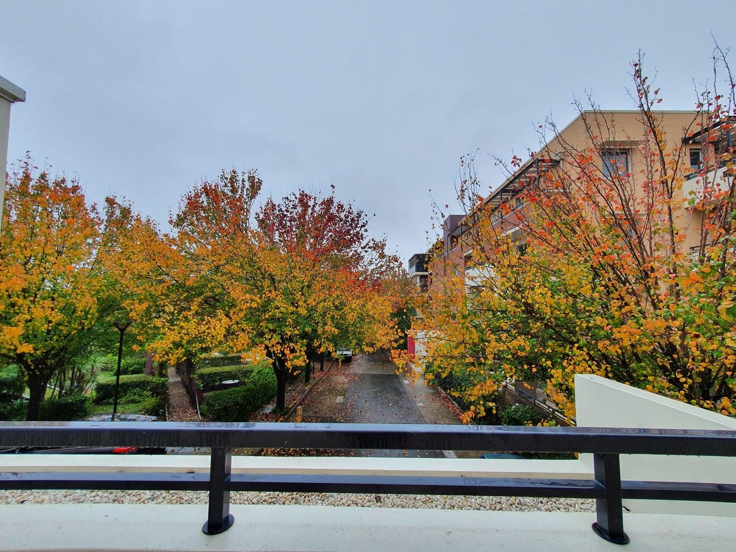 1 bedrooms Apartment / Unit / Flat in 45/20 Close Street CANTERBURY NSW, 2193