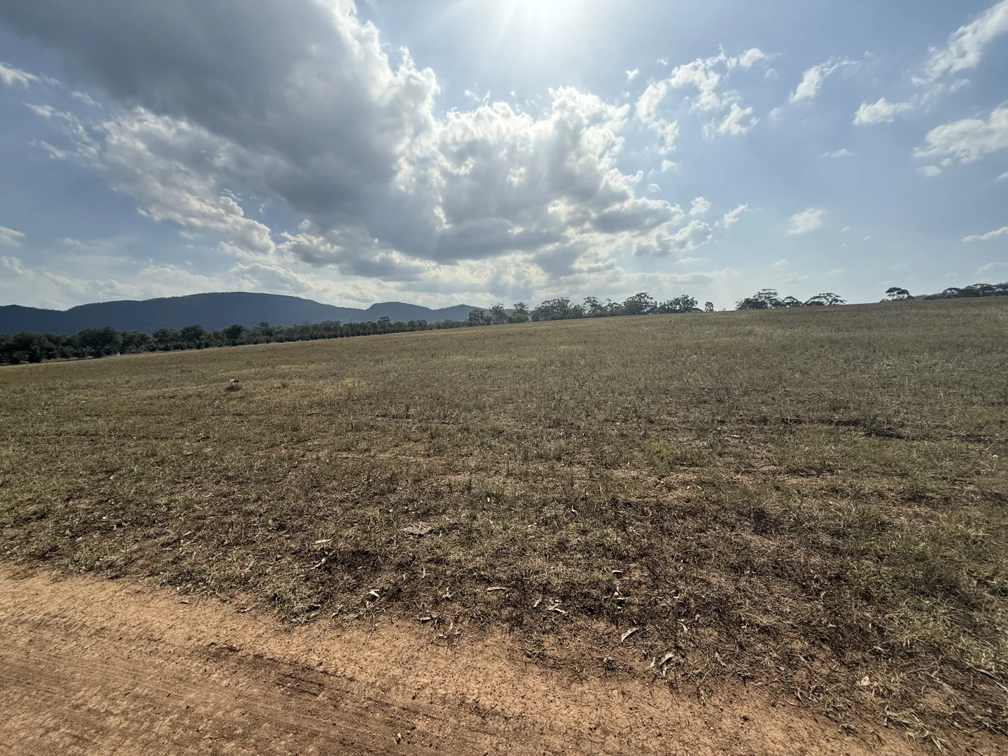 Image 15