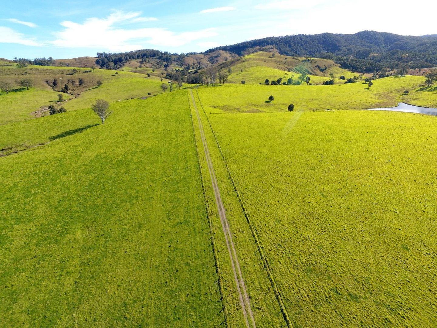 2135 The Bucketts Way, Wards River NSW 2422 House for Sale Domain