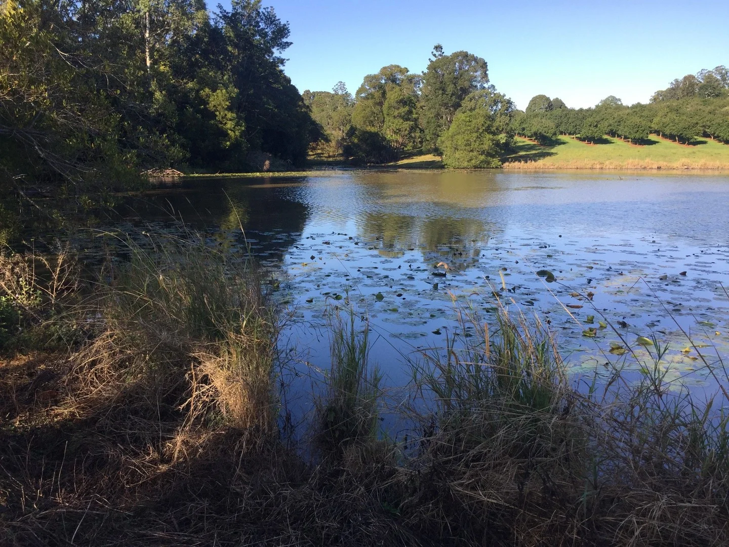 Additional image 19 of Numulgi NSW 2480