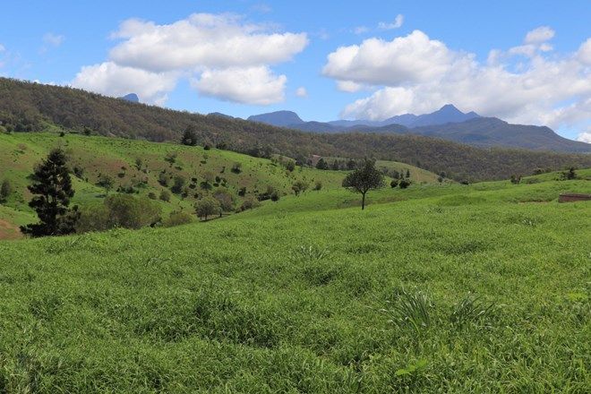 Picture of 189 Snake Gully Road, PALEN CREEK QLD 4287