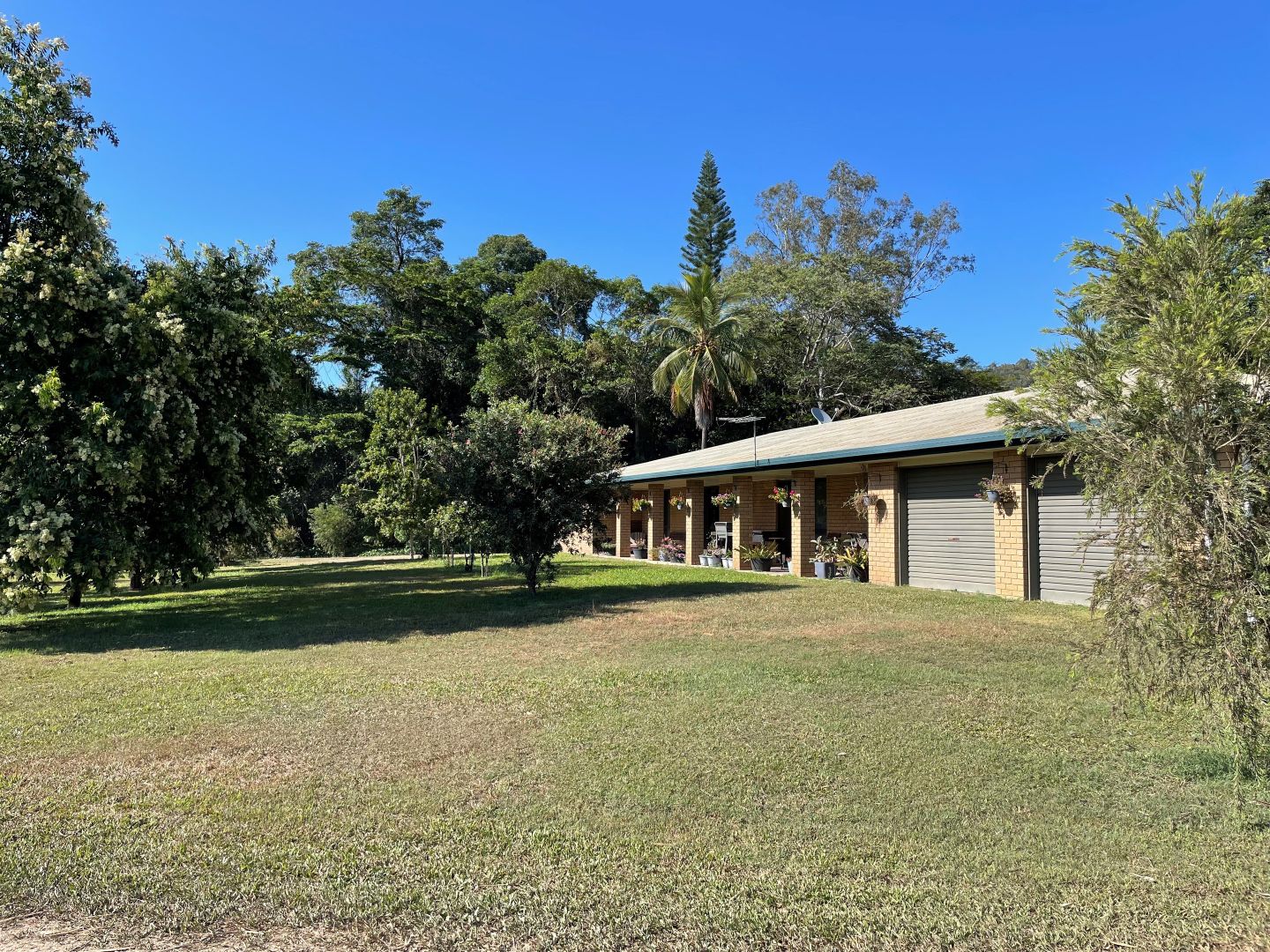 Pinnacle QLD 4741 - House for Sale | Domain