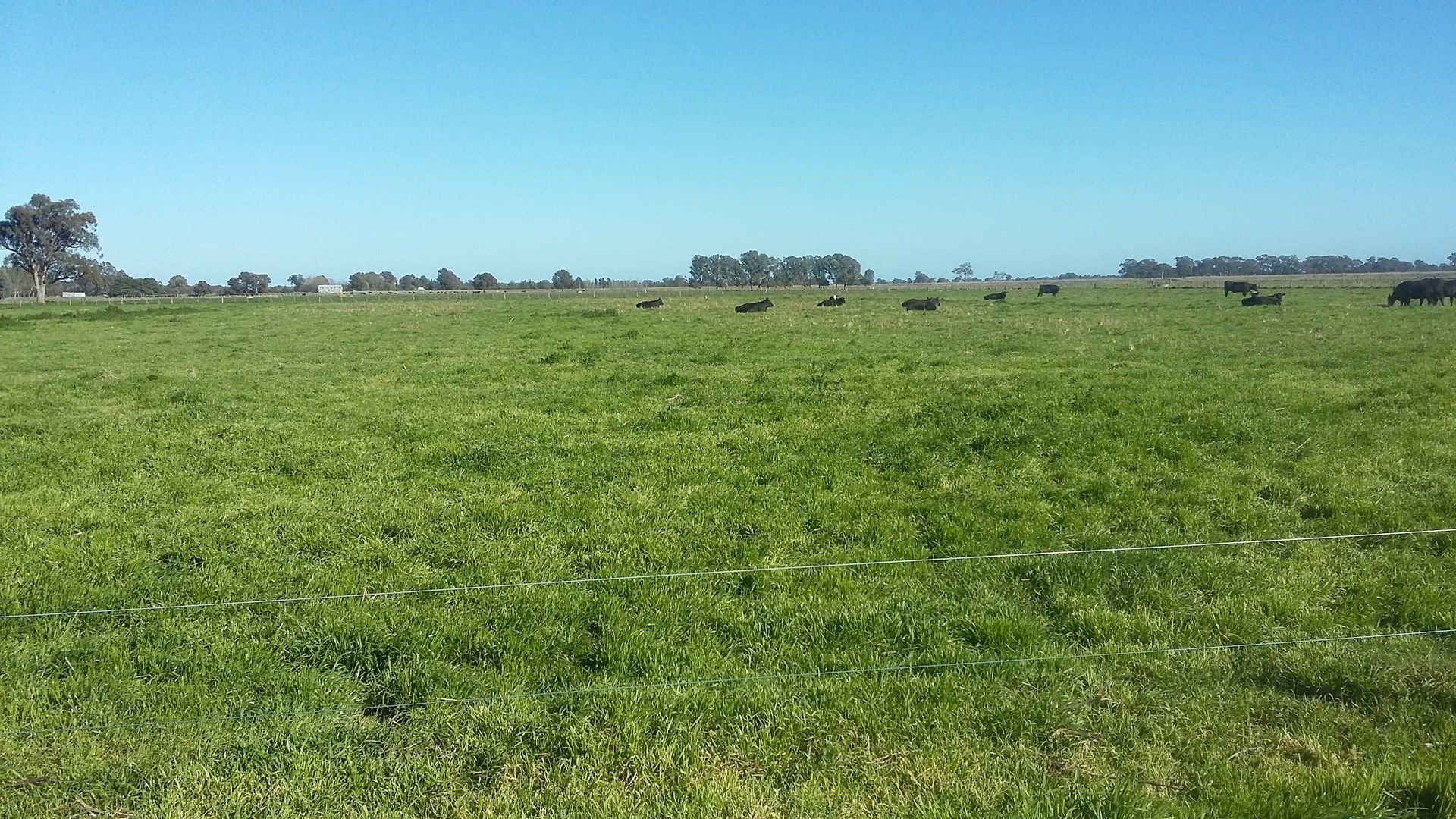 Lot 2, 740 Craven Road, Tatura VIC 3616, Image 0