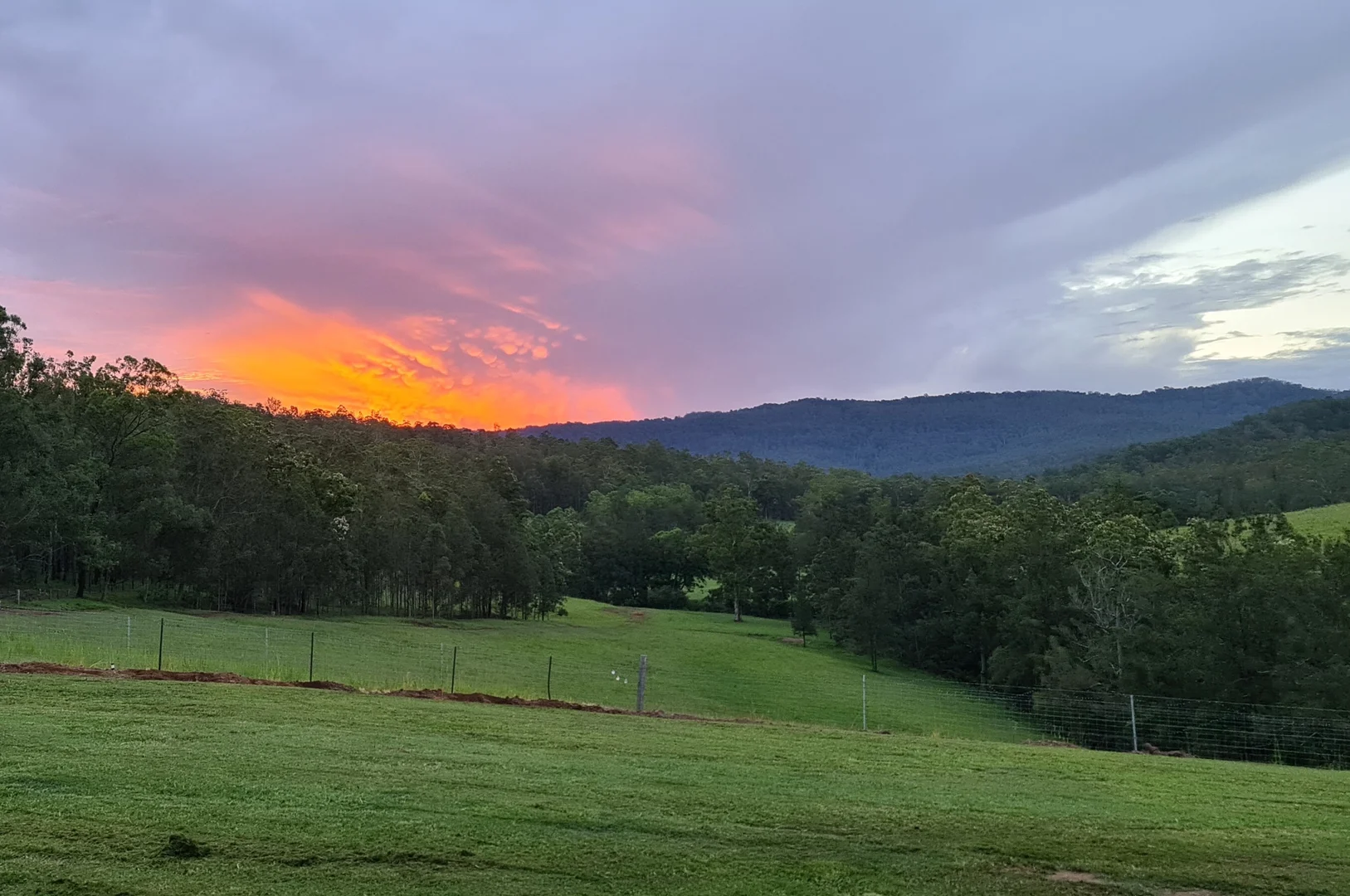 Additional image 6 of Lot 10 Iron Pot Creek Road, Kyogle NSW 2474