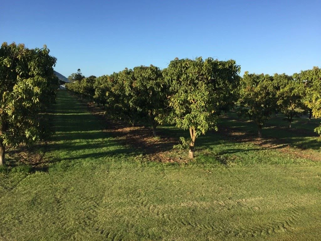 Additional image 5 of Bowen QLD 4805