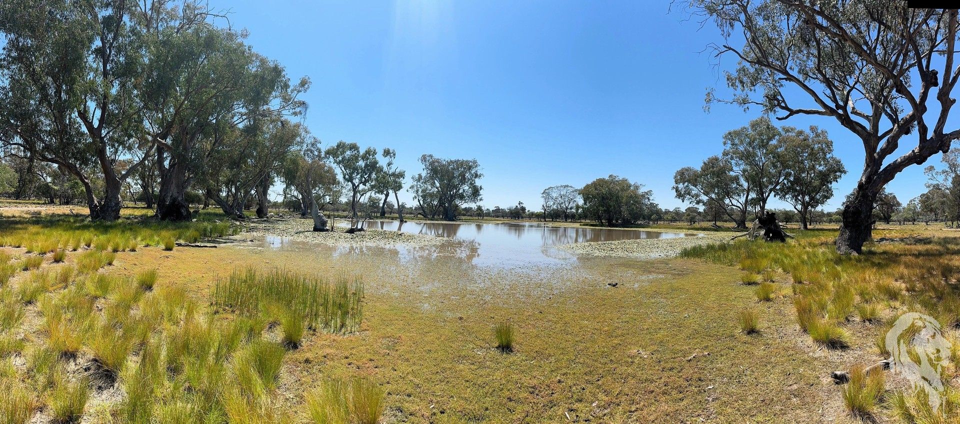 3 bedrooms Rural in 1503 Werah Creek Road WEE WAA NSW, 2388