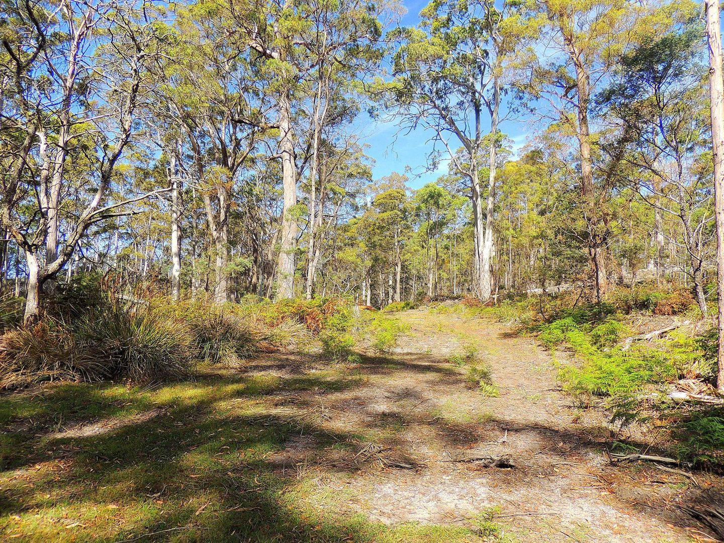 520 Elephant Pass Road, St Marys TAS 7215, Image 2