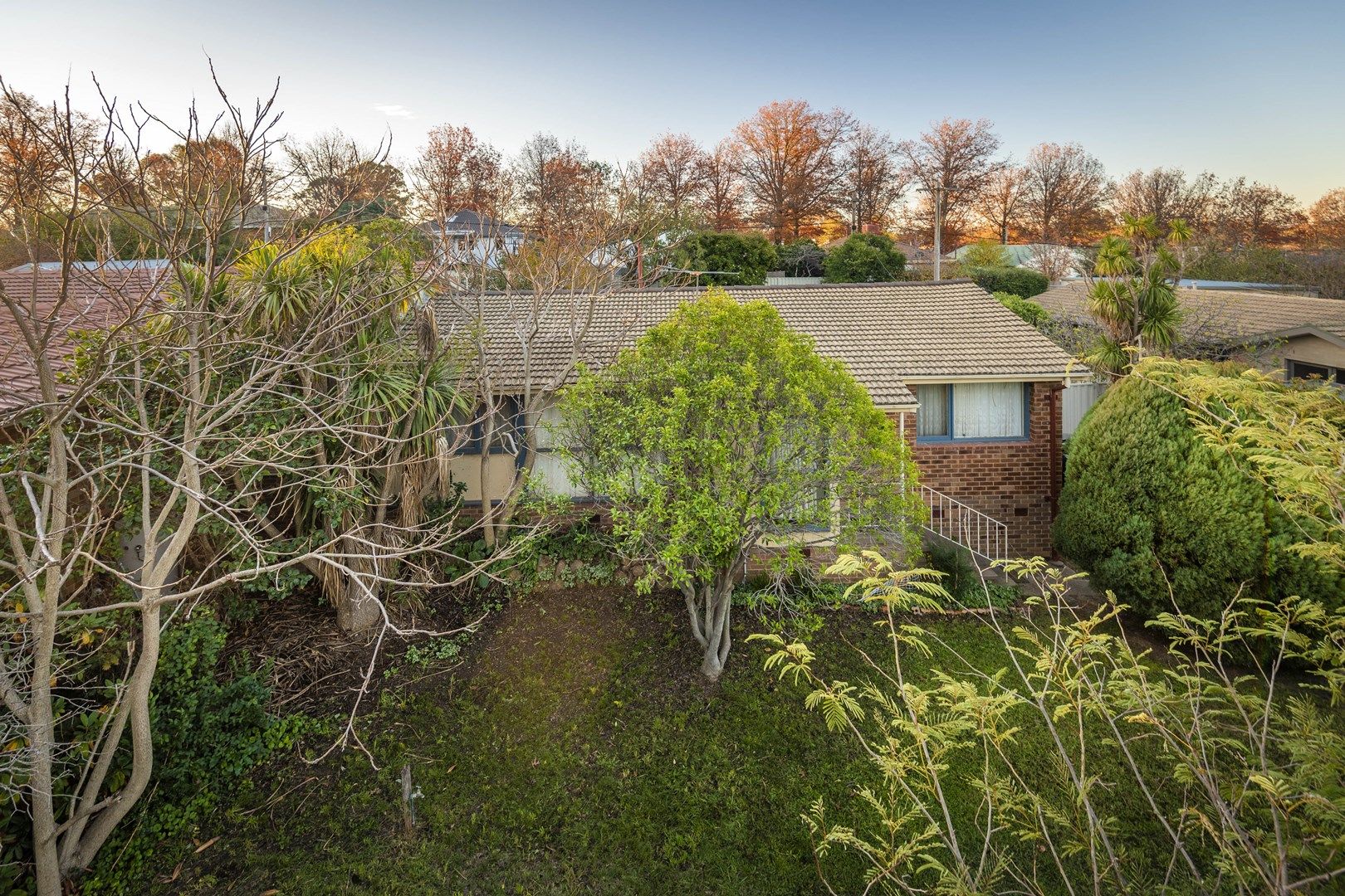 51 Tallara Parkway, Narrabundah ACT 2604, Image 0