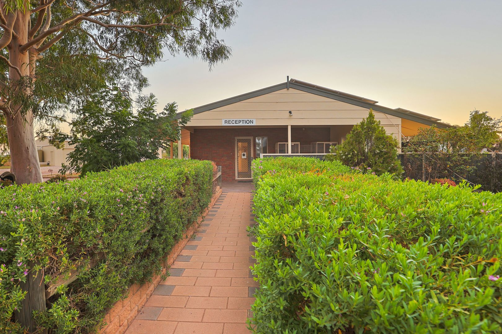 242 Oak Avenue, Birdwoodton VIC 3505 House for Sale Domain